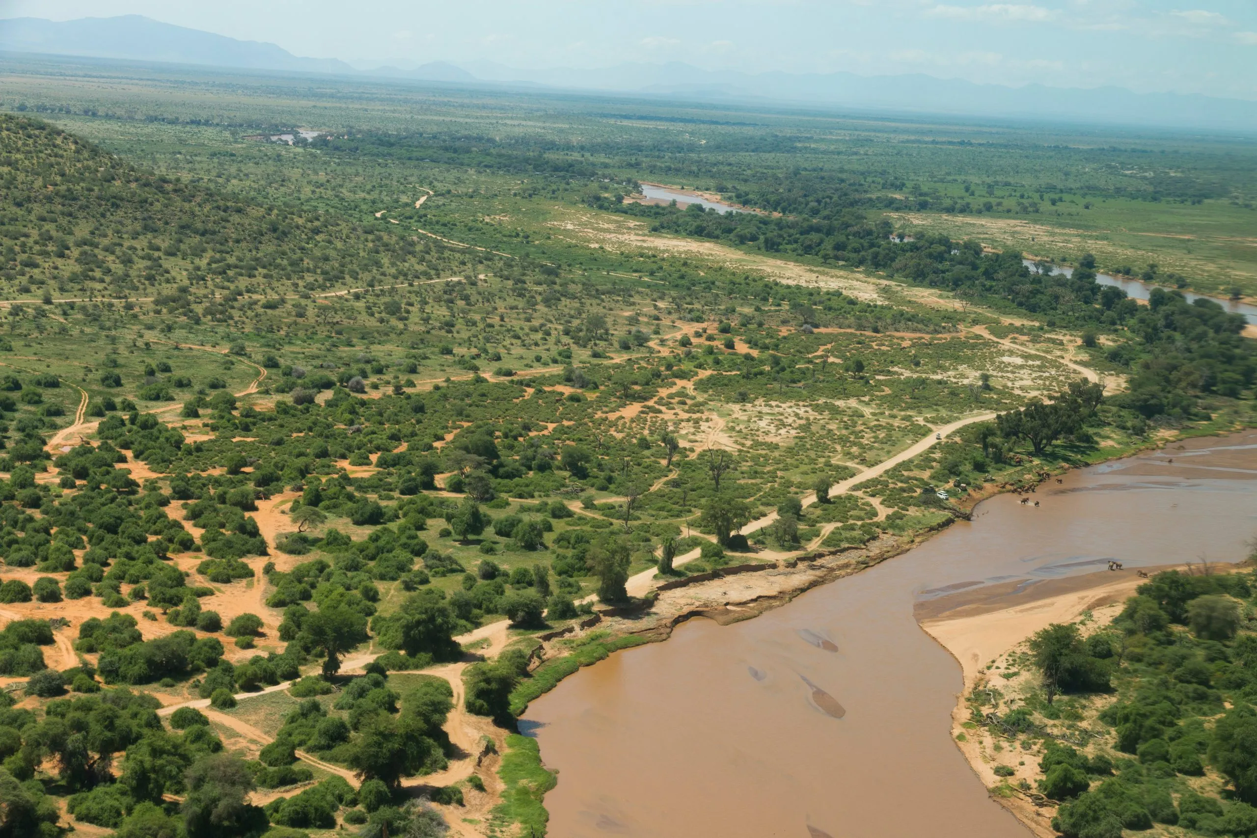 Africa, Kenya, Samburu, Ewaso Ng'iro River.