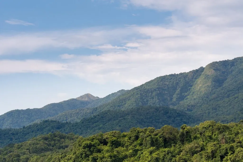 MONTAGNE DELLA GIUNGLA A MAHALE, IN TANZANIA