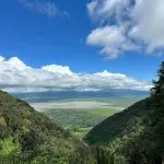 view of africa