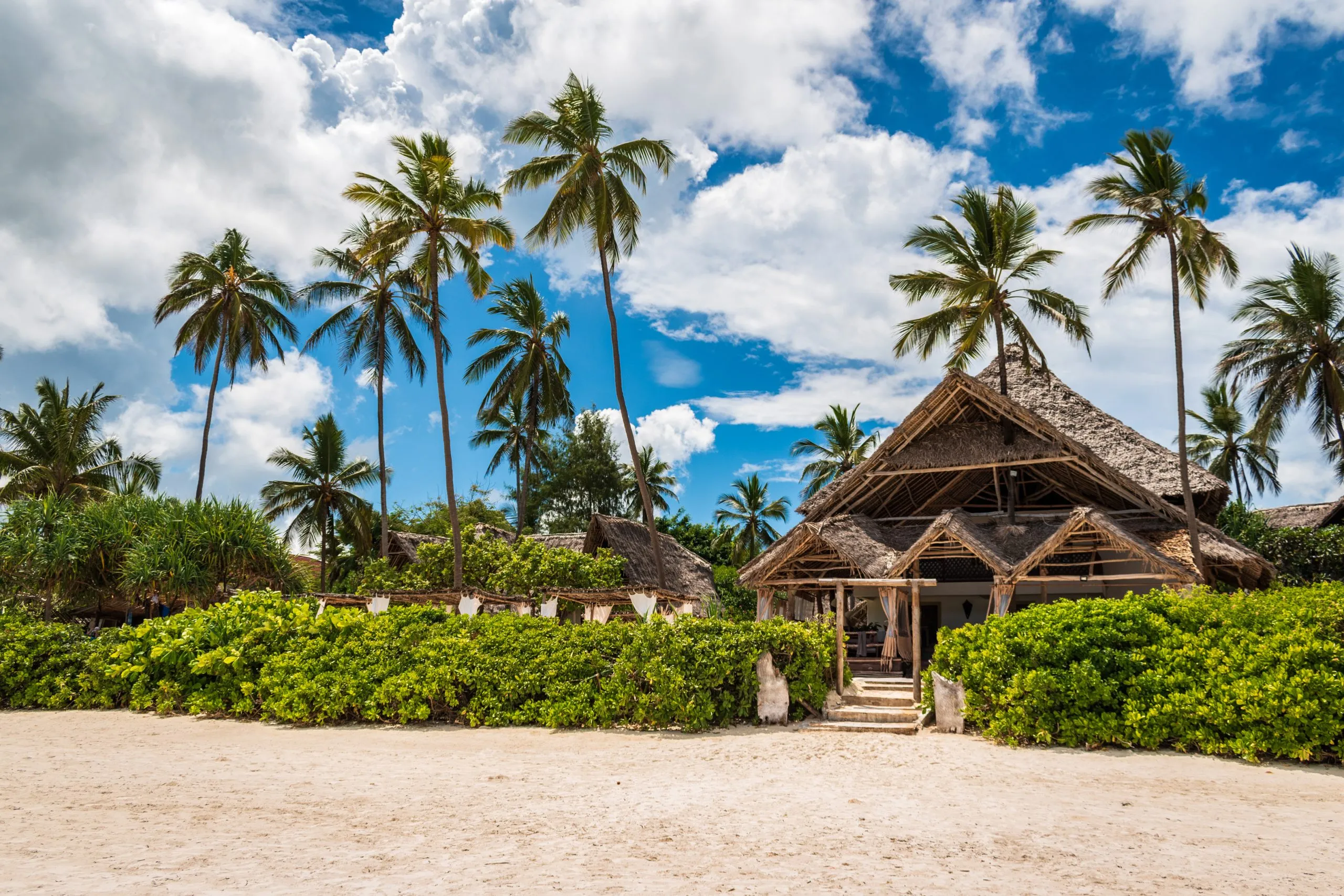 View of the house with thatched roof located among the palm trees on Matemwe Beach, Zanzibar, Tanzania, Africa